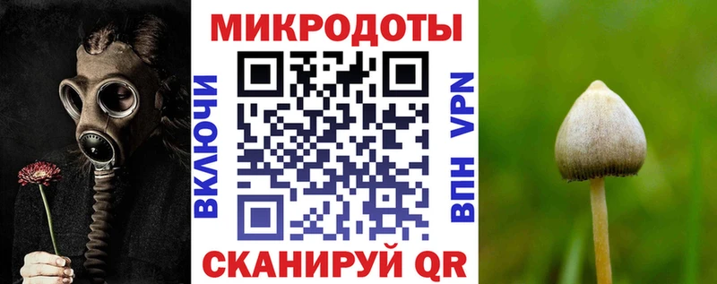 Купить где  Тавда  Псилоцибиновые грибы мицелий 